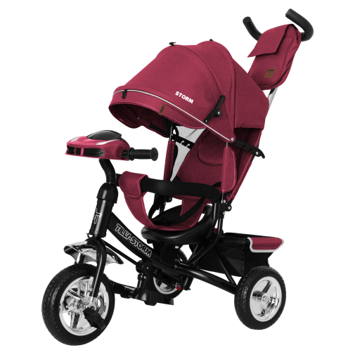 Дитячий триколісний велосипед TILLY STORM T-349/2