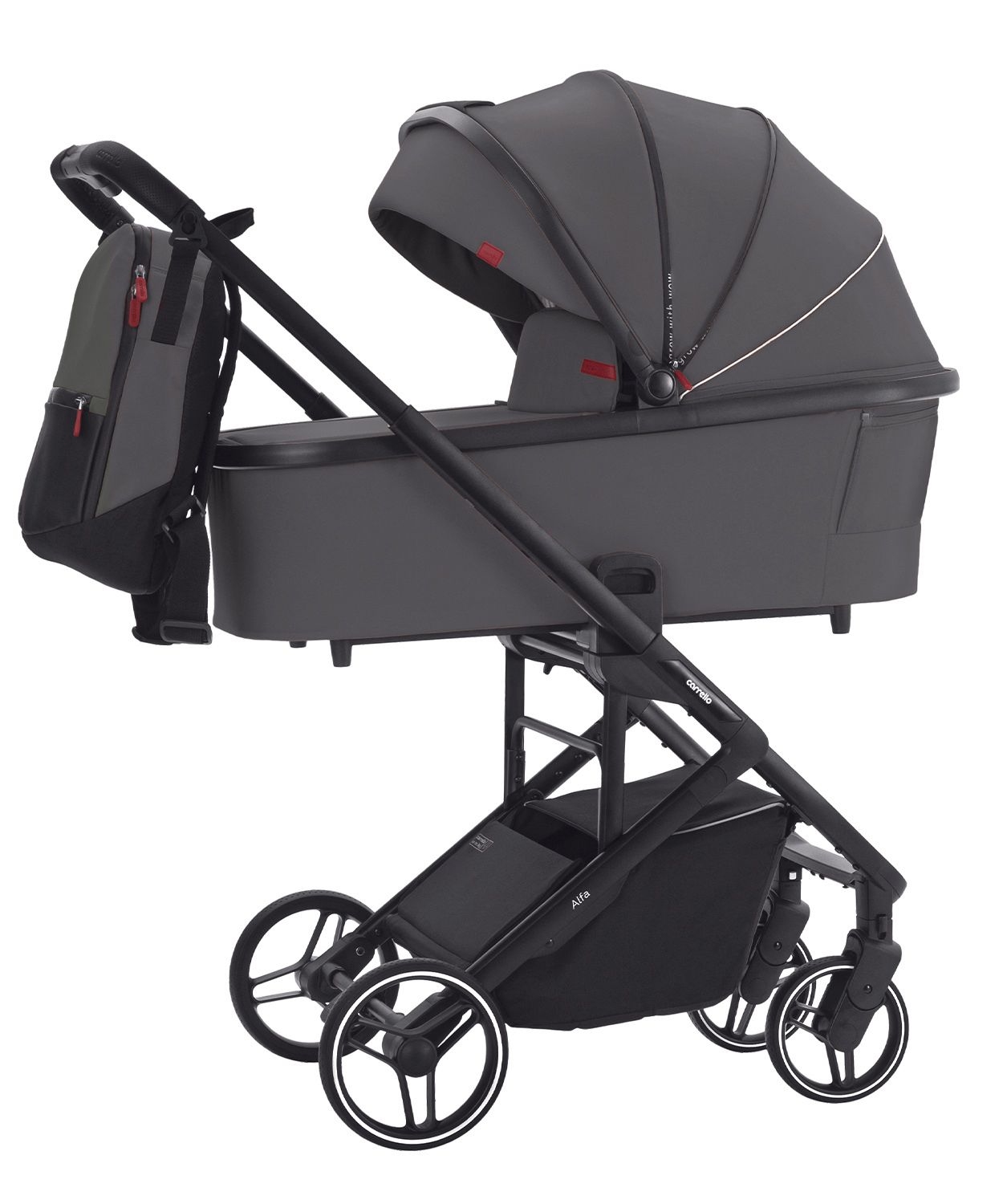 Універсальна коляска 3 в 1 Carrello Alfa CRL-6508